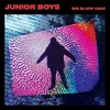 Junior Boys - Big Black Coat (180 g) (LP)