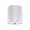 LED RGBW prigušiva spot svetlo JUPITER 1xE27/6,5W/230V O 13 cm belo