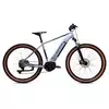 CAPRIOLO Volta 9.4 E-bike 29 sivi (926801-18)