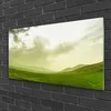 tulup.si Slika na steklu Narava green meadow view 100x50 cm 4 obešalnika