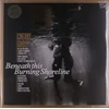 Cherry Ghost - Beneath This Burning Shoreline (2 LP)