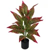 Umetna rastlina kroton v loncu 65 cm