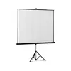 Reflecta Tripod platno za projektor CrystalLine, 240x240cm