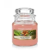 Yankee Candle The Last Paradise Yankee Candle - majhna dišeča sveča, novost 2021