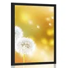 Plakat regratova lučka - 20x30 no frame