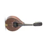 Mandolina ravna Pro Arte Antique 505.398 Gewa