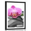 Plakat s paspartujem masažni wellness kamni - 60x90 no frame