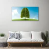 tulup.si Slika na platnu Grass nature tree pljuča 100x50 cm