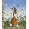 Home for a Bunny