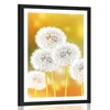Plakat s paspartujem puhast regrat - 30x45 white