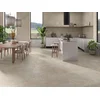 ARENITE NATURAL 60x120