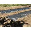 Agrotekstilna folija 1.5x30m Premium ground cover ( VLKAF150X30-premium )