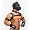 Master Series Deluxe Pup Arsenal Set Black