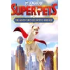 DC League of Super-Pets: The Adventures of Krypto and Ace (PC) Steam Key GLOBAL