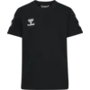 Go 2.0 Chevron