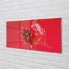 tulup.si Slika na steklu Poper voda 125x50 cm 4 obešalnika