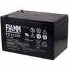 Fiamm Akumulator solarni sistemi, Prosilna razsvetljava, varnostni sistemi 12V 12Ah - FIAMM original