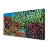 tulup.si Slika na platnu Barrier reef narava 120x60 cm