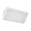 LED spoljašnje zidno svetlo LED/20W/230V 4000K IP65 belo