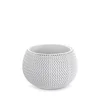 Prosperplast Saksija Splofy Bowl P290, Bela
