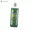 SAMPON FRESH KOPRIVA 1000ML (6) PIRAMIDA