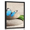 Plakat modri metulj na Zen kamnu - 30x45 silver