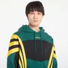 Mikina adidas Santiago Hd Hoodie Collegiate Green L