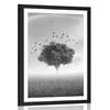 Plakat s paspartujem samotno drevo na travniku v črnobeli varianti - 60x90 black