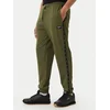 Reebok Spodnji del trenirke Jacek RK25723CCM Zelena Regular Fit