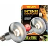 Exo Terra Intense Basking Spot - R30/150W