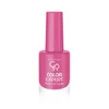 GOLDEN ROSE Lak za nokte Color Ekpert 19