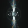 Jon Hopkins - Ritual (2 LP)