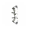 Bear archery compound bow whitetail int package