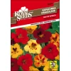 SEME ROYAL SEEDS 72 Kapucinka, Out of Africa