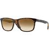 RAY-BAN Muške naočare za sunce 0RB4181 710/51 57, Braon