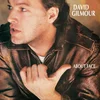 David Gilmour - About Face (Reissue) (Remastered) (CD)