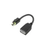 Lenovo 4X90Q93975 video cable adapter Mini DisplayPort DisplayPort Black