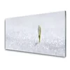 tulup.si Slika na akrilnem steklu Snowdrop sneg winter 125x50 cm 4 obešalnika