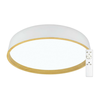 Top Light - LED prigušiva stropna svetiljka DEKOR LED/51W/230V + daljinski upravljač bela/bež