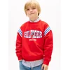Tommy Hilfiger Jopa Wavy Flag KB0KB10260 Rdeča Regular Fit