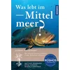 Was lebt im Mittelmeer?