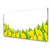 tulup.si Slika na steklu Tulipani rože narava 100x50 cm 2 obešalnika