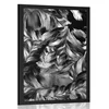Plakat retro poteze rož v črnobeli varianti - 20x30 no frame
