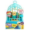 Little live pets pticica i kavez set ( ME26683 )