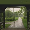 Cloud Nothings - The Shadow I Remember (Spectral Light Whirl Coloured) (LP)