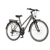 VISITOR Bicikl terra lady 28 inch sivo tirkiz