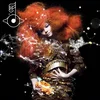 Björk - Biophilia (180 g) (2 LP)