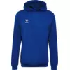 Hummel Mikica s kapuco HMLAUTHENTIC PL HOODIE