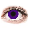 CRAZY LENS - Solid Violet - dnevne leče brez dioptrije