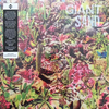 GIANT SAND - RETURNS TO VALLEY OF RAIN